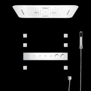 Vivace Shower System