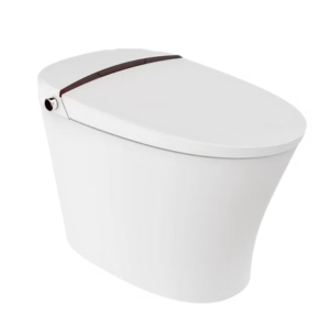 Automatic Cleaning Heating Sensor Flushing Electric one-piece Tankless Smart Toilet