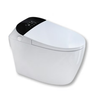 One-Piece Floor Mounted Advance Smart Toilet